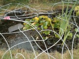 Sculptural pond cover detail