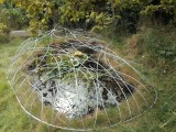 sculptural pond cover